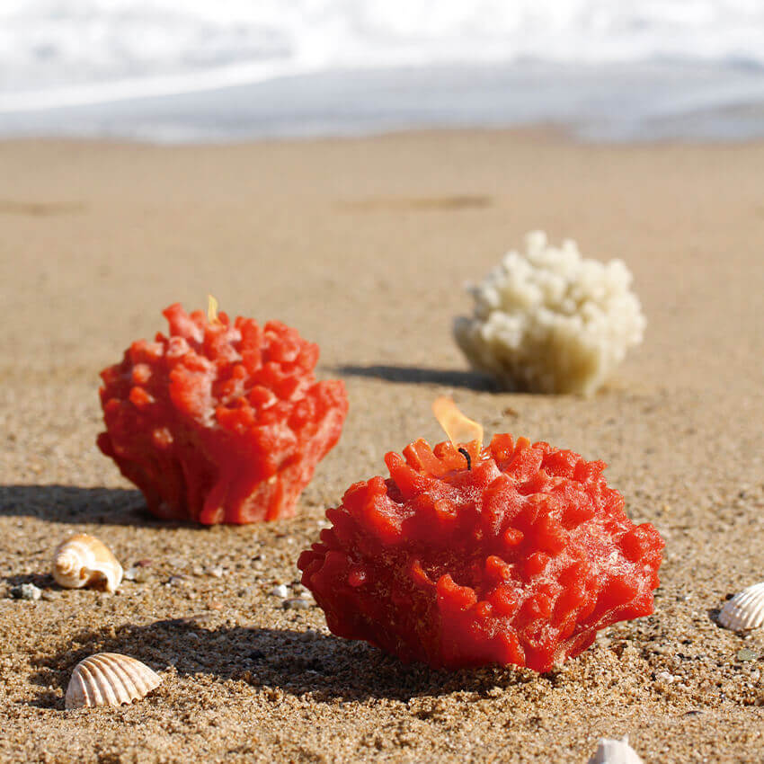 Vela decorativa coral