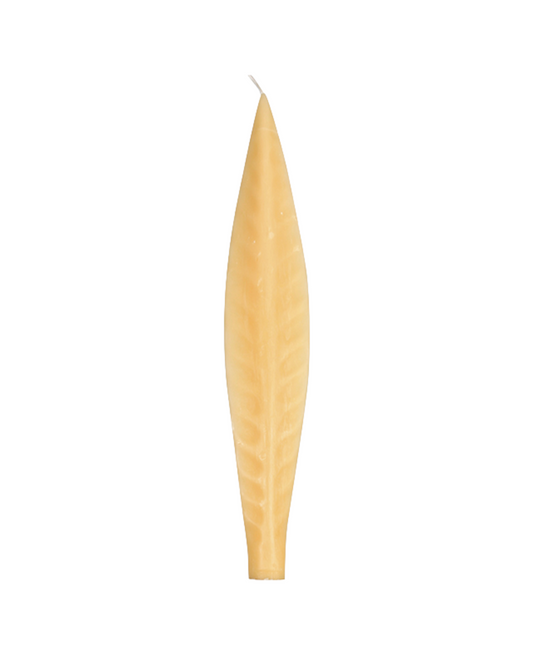 Spare large leaf candle.