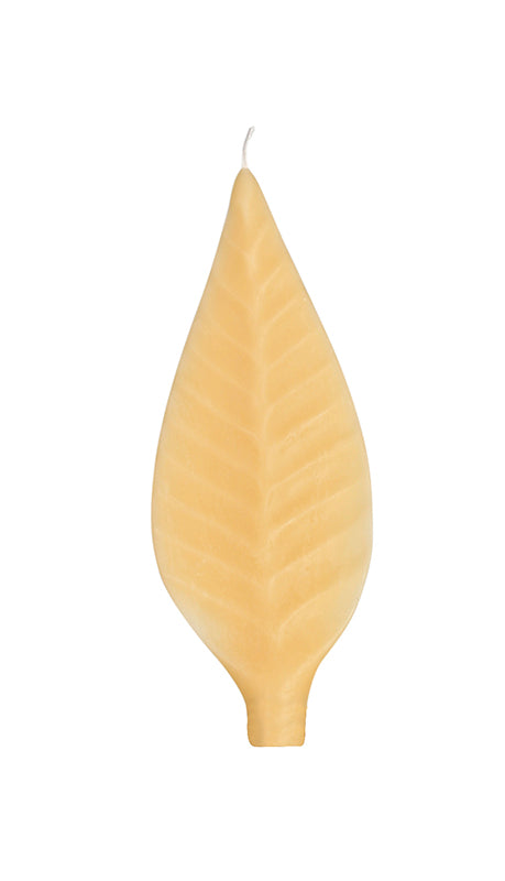 Spare small leaf candle.