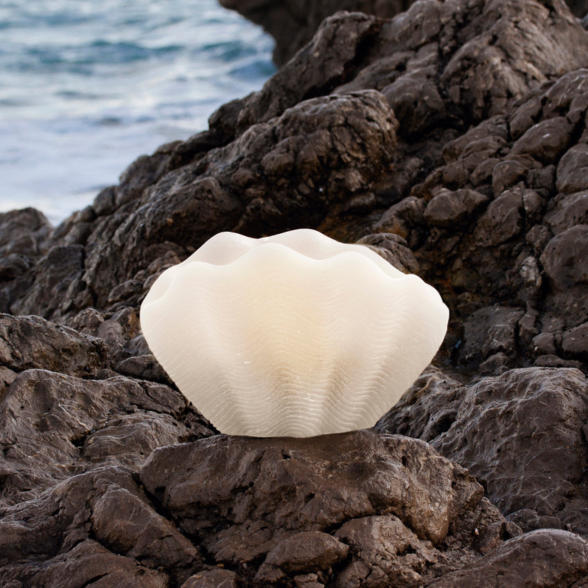 decorative shell candle
