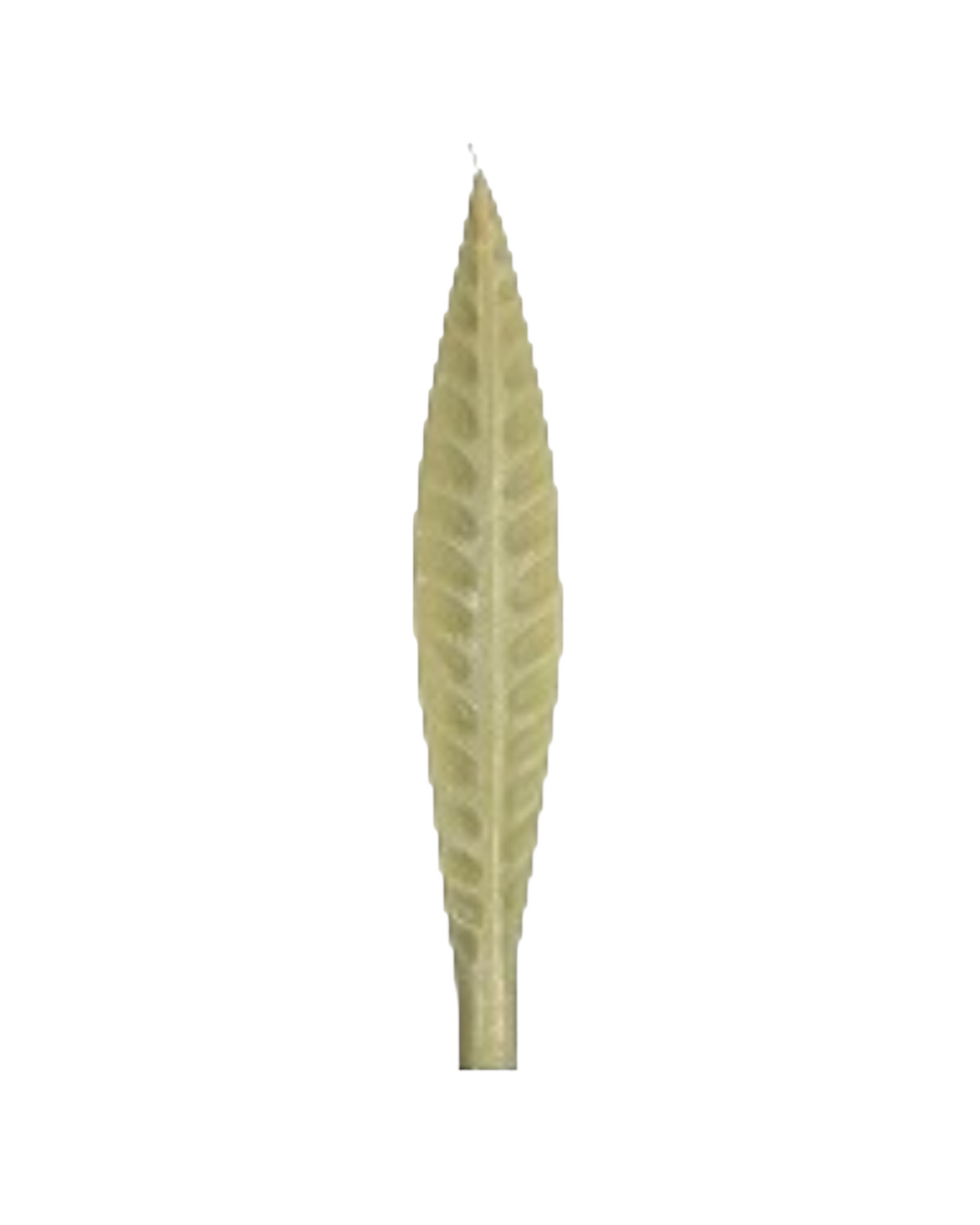 Spare large leaf candle.