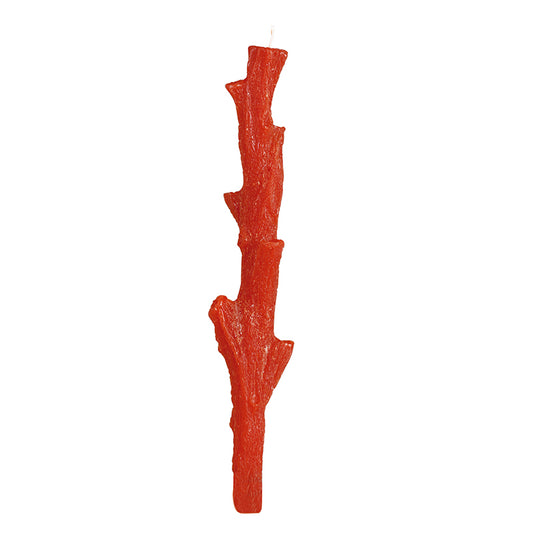 Decorative coral candle holder
